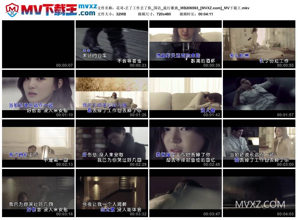 花哥-丢了工作丢了你_国语_流行歌曲_MB206593